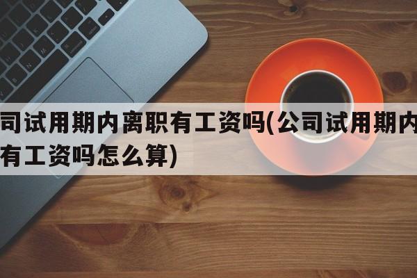 公司试用期内离职有工资吗(公司试用期内离职有工资吗怎么算)